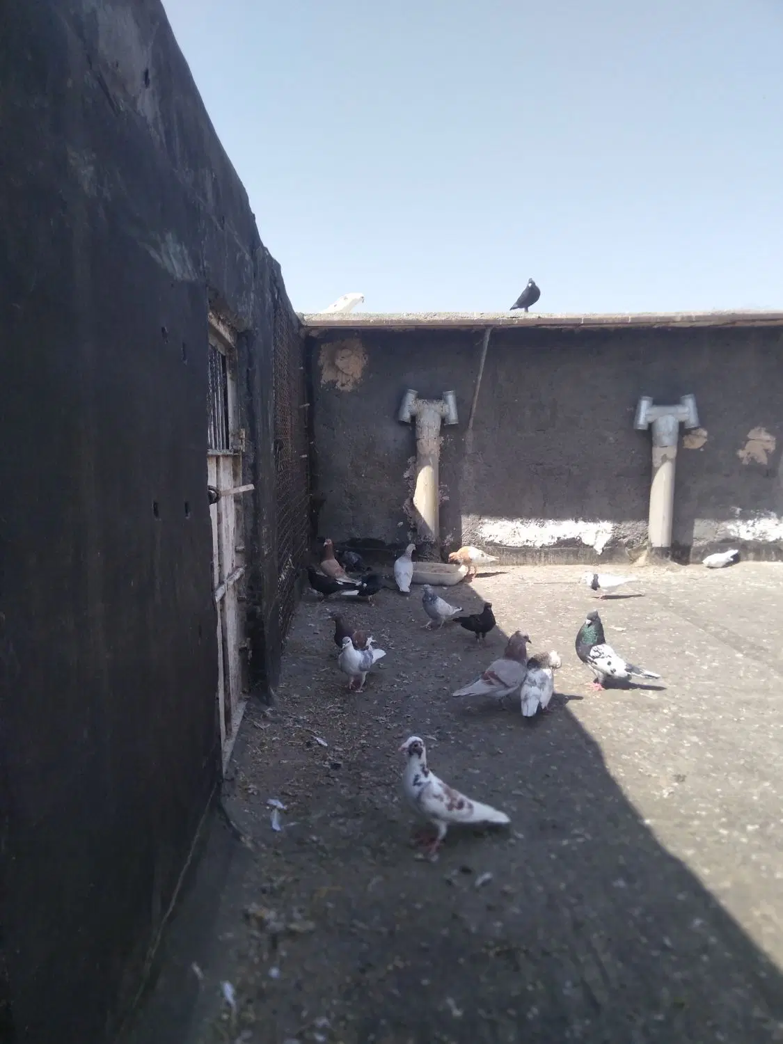 آپارتمان فروشی