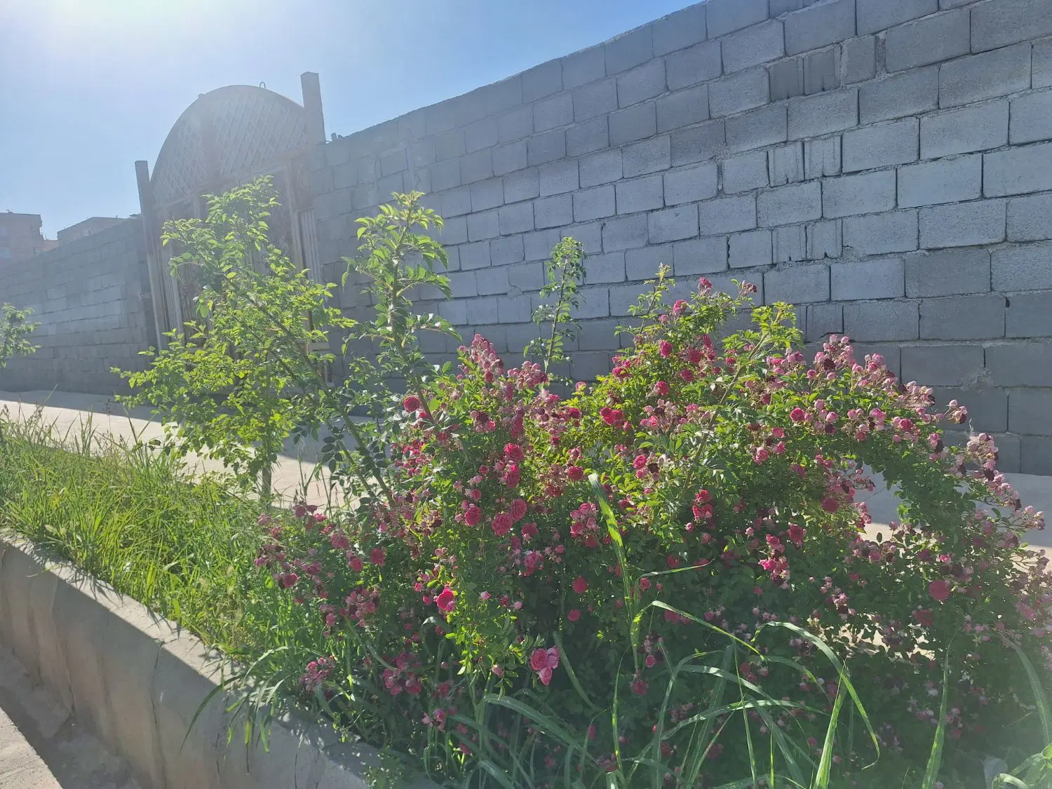 2600 متر ۴ دیوار ۴ بر آموزشی