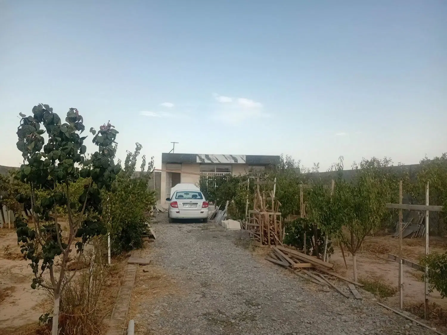زمین دارای بنا .پر از درخت مثمر