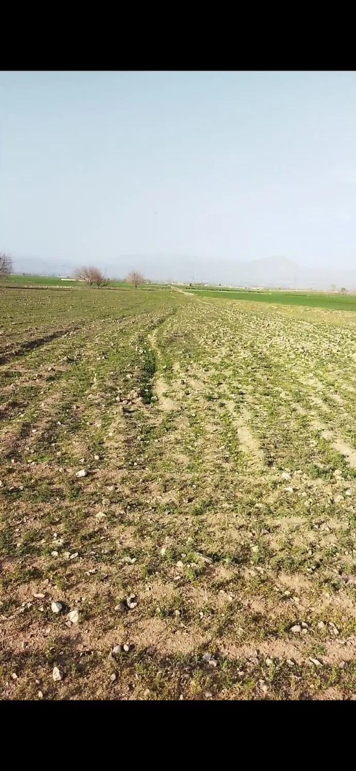 زمین ۱۰ هکتاری شگفت‌انگیز _ استخر و امکانات