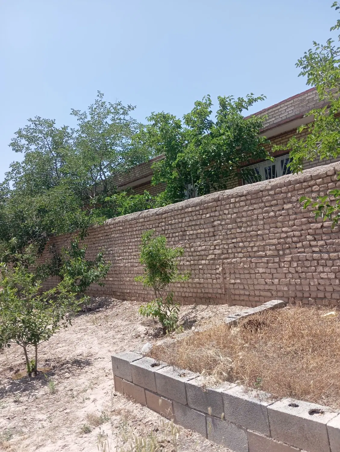 زمین ماریان