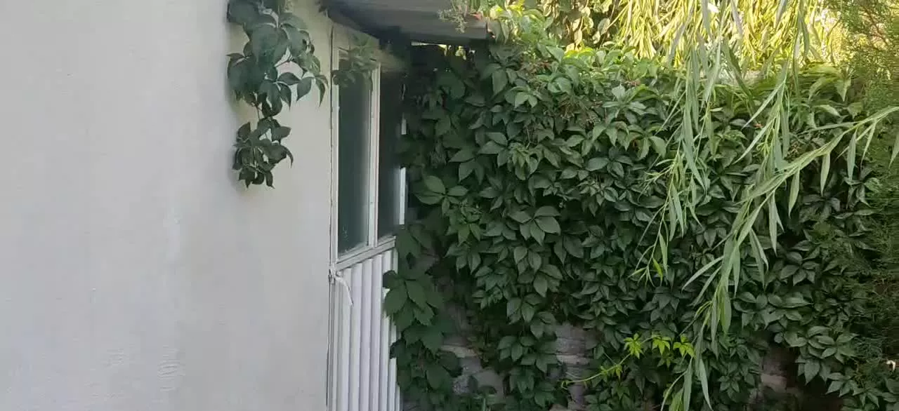 باغ باغچه