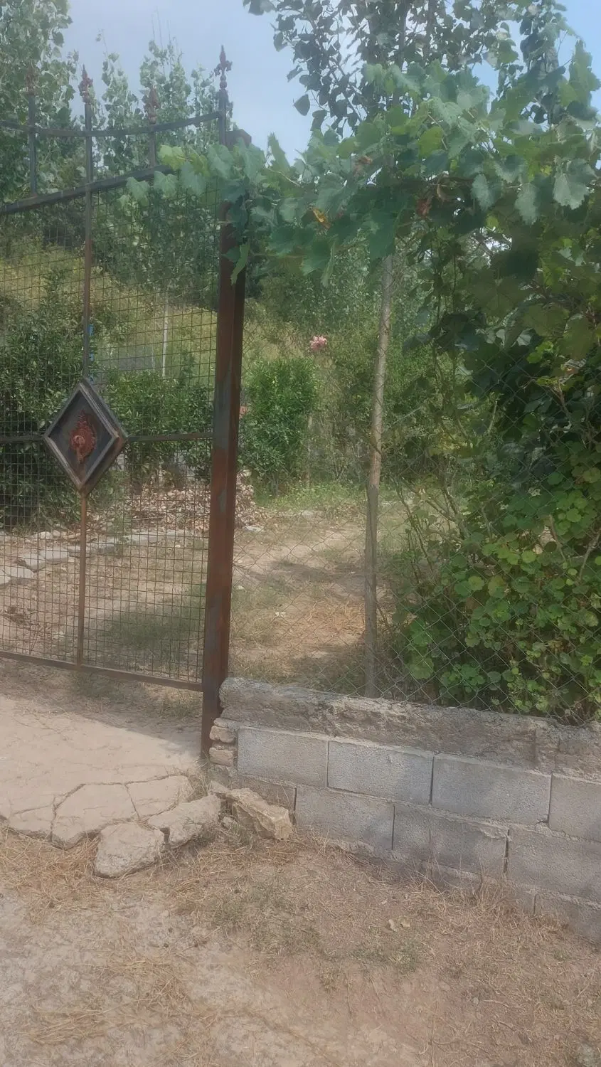 زمین مناسب باغ