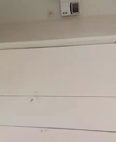 اجاره آپارتمان