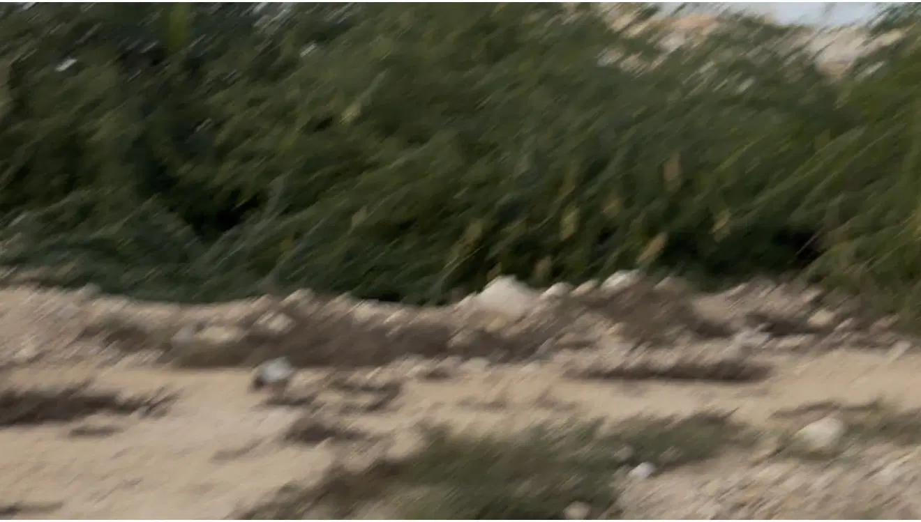 زمین ۱۲۵ متری باغ بهزاد
