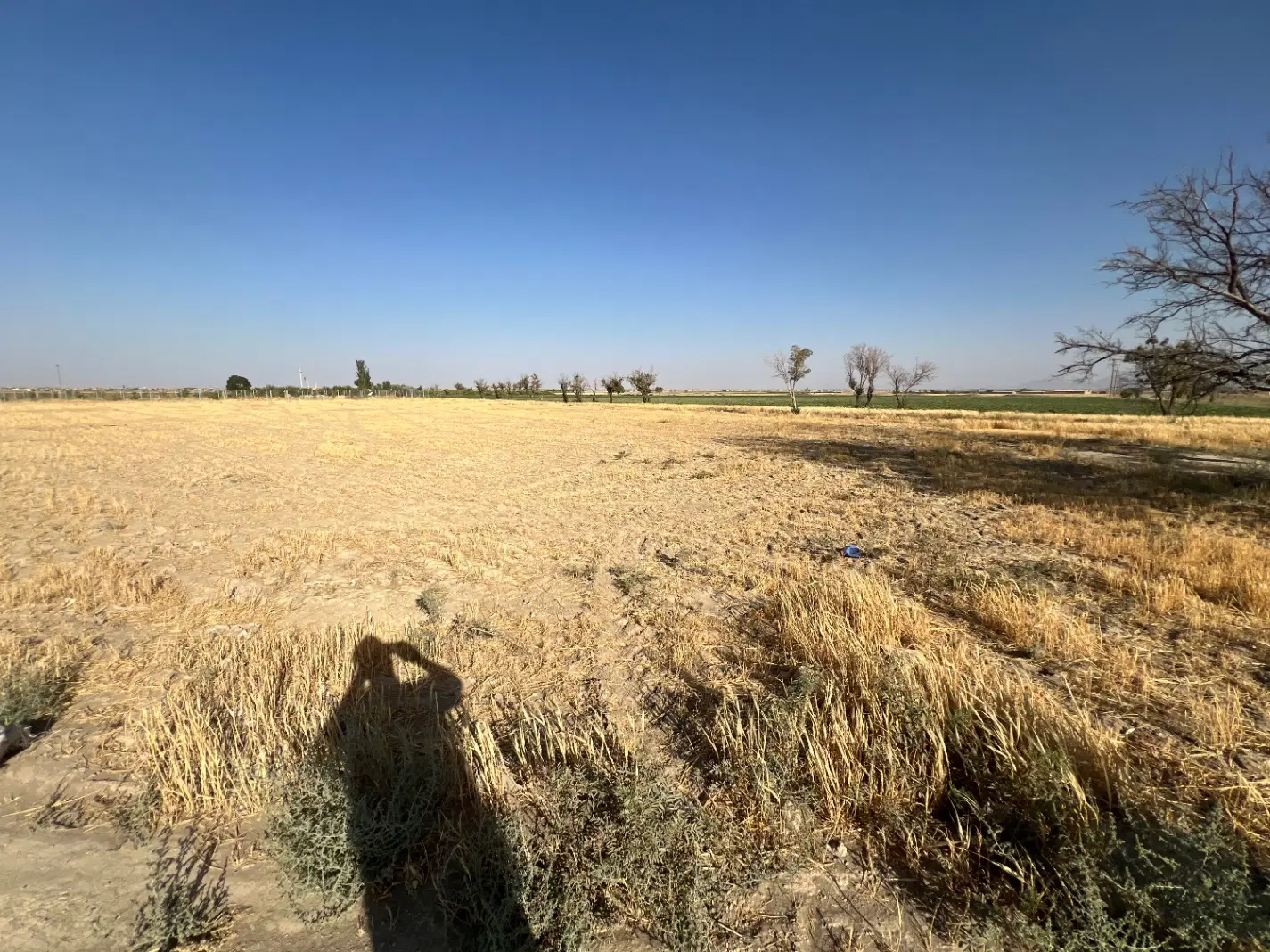 زمین پشت محمدیه