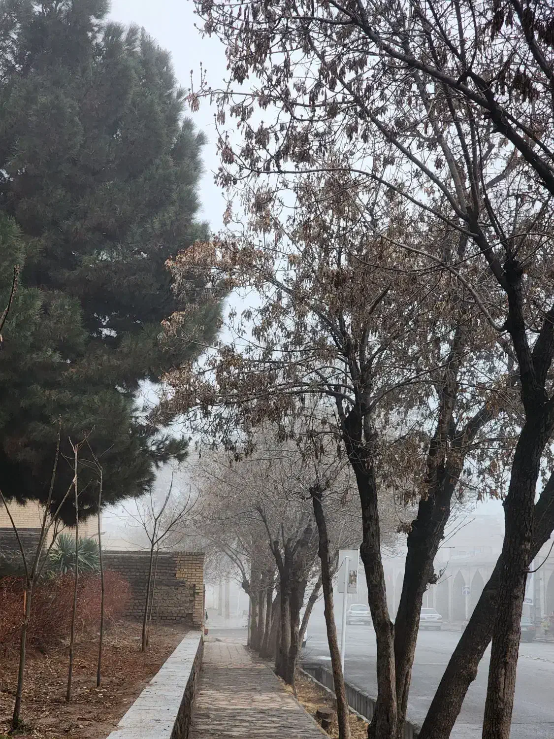 فروش ملک تجاری مسکونی