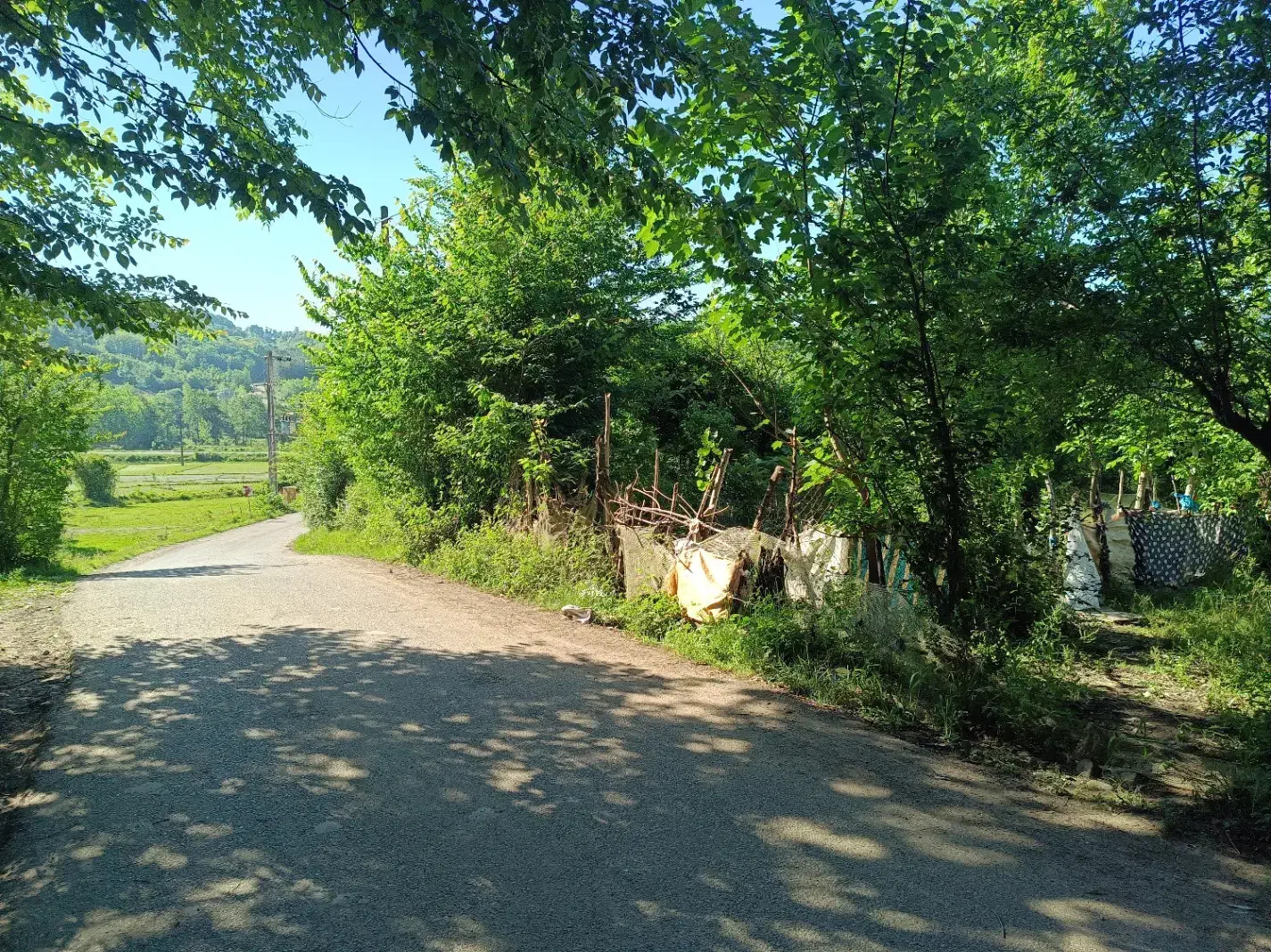 زمین مسکونی دو بر آسفالت