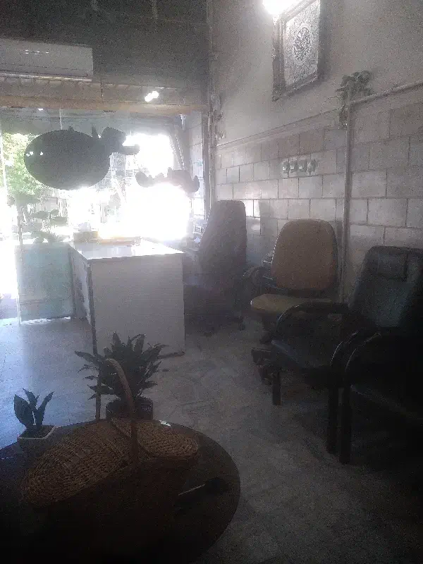 باغ وباغچه.۲۹۰متری