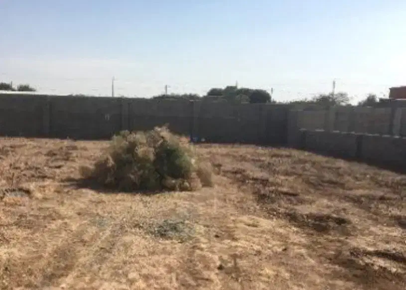 اجاره زمین و مغازه در عنبراباد