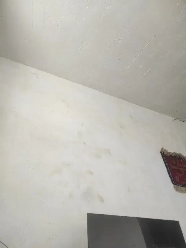 خانه اجاره ای نقلی