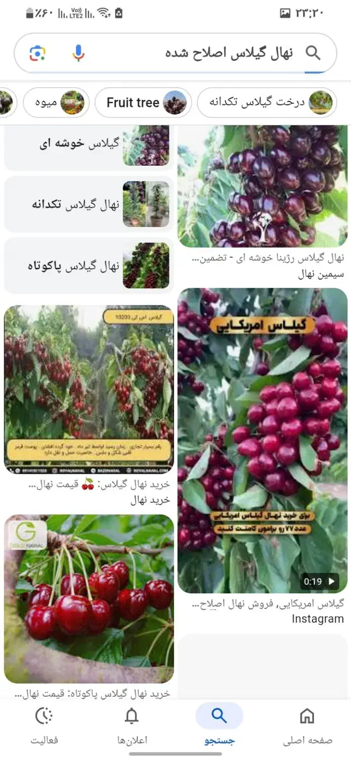 باغ حدود۶۰۰متر ۵۰کیلومتری قزوین یوزباشچای