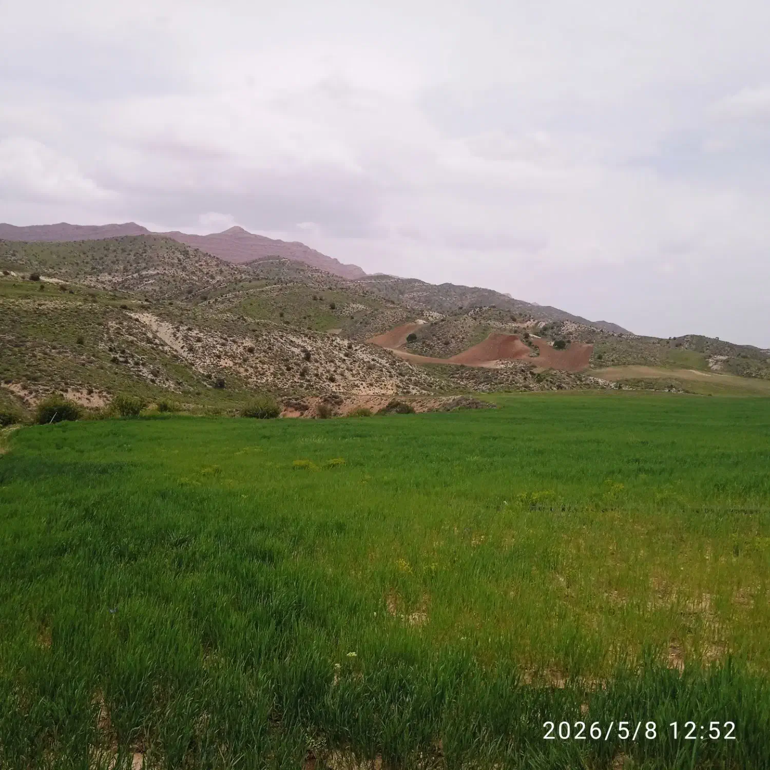 زمین کشاورزی