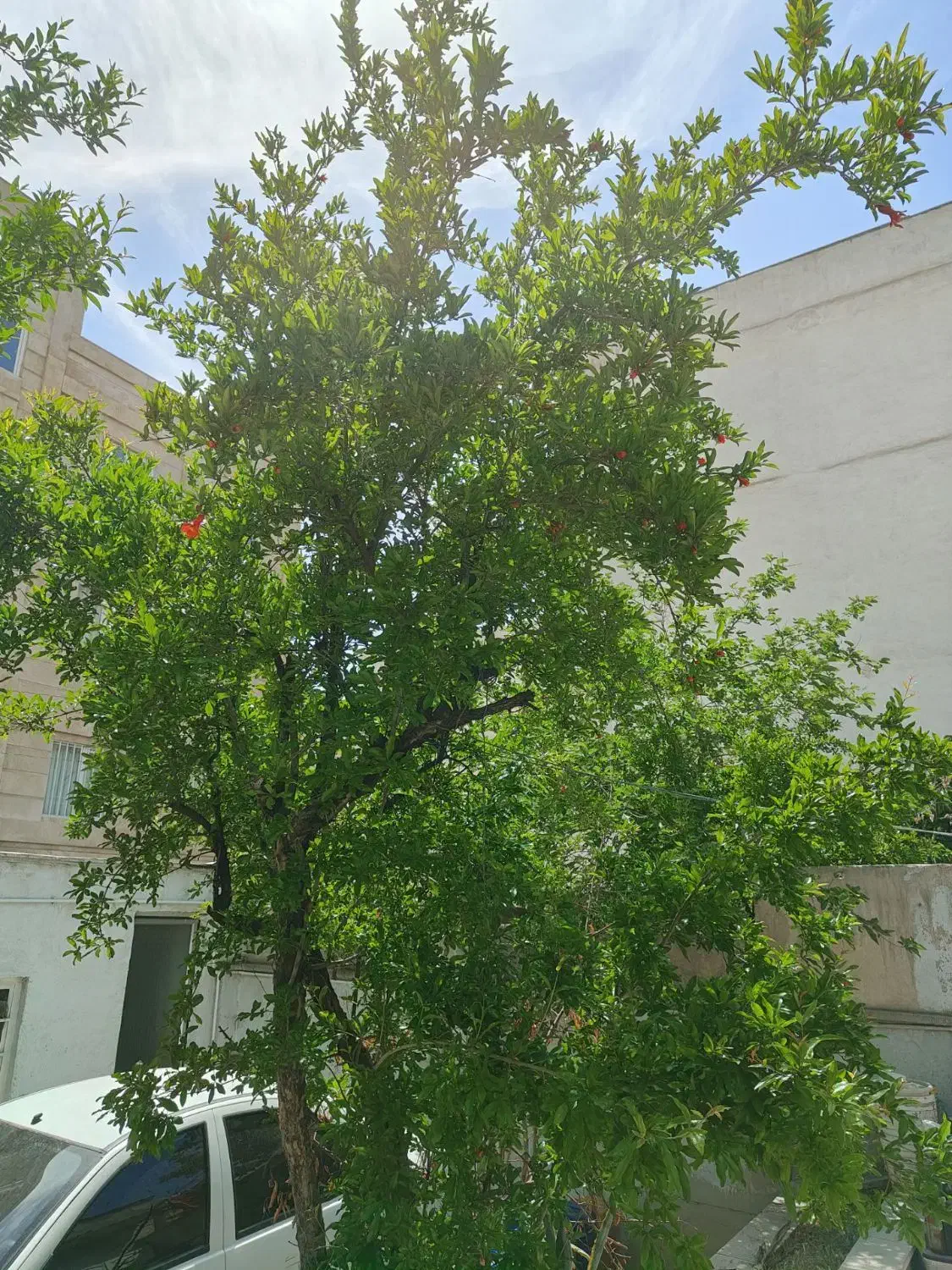 ویلایی ۲۵۰ متری شهرک سینمایی _ ویلاشهر