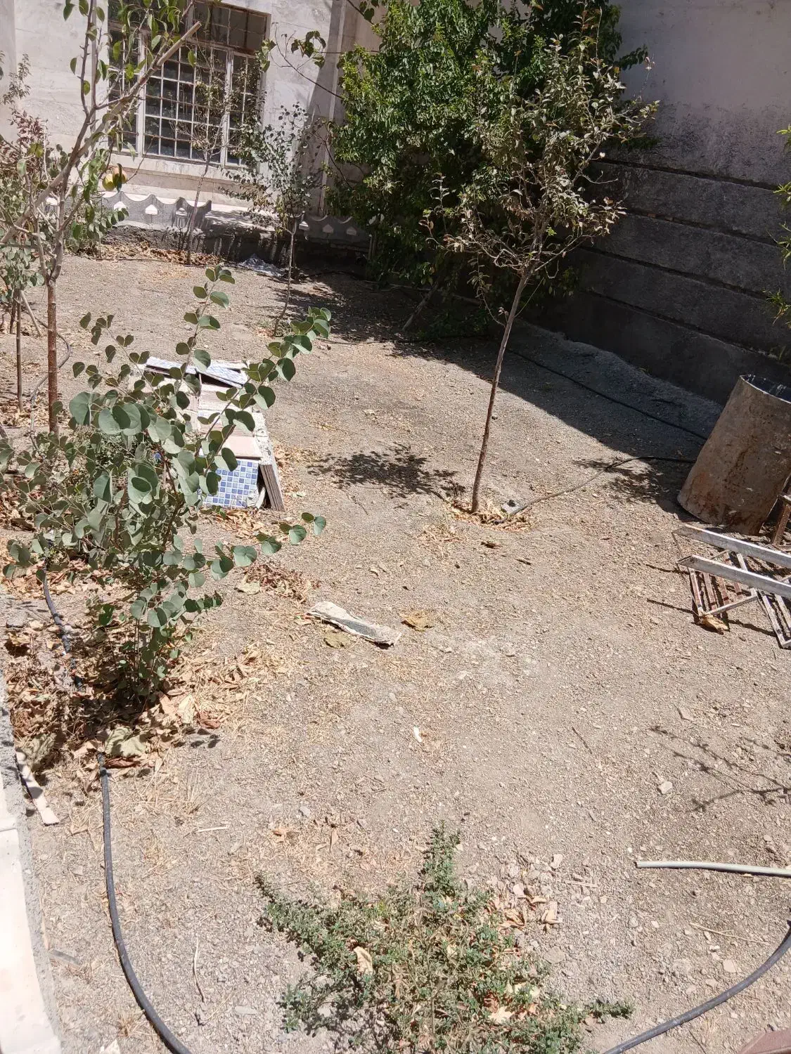 باغ ویلا