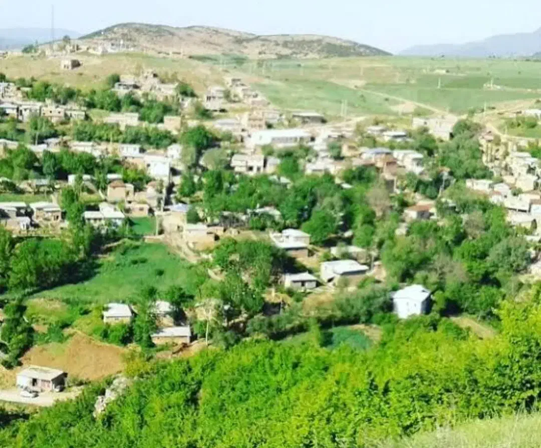 زمین کشاورزی قلعه قافه بالا