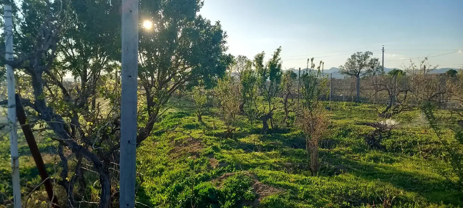 فروش باغچه نقلی