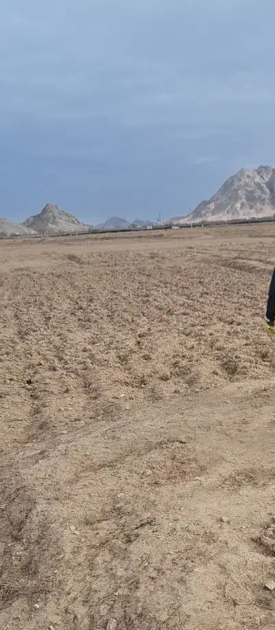 زمین مزروعی واقع در بلوار ابوذر