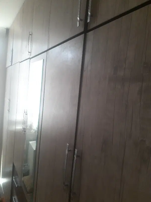 هم خانه خانم