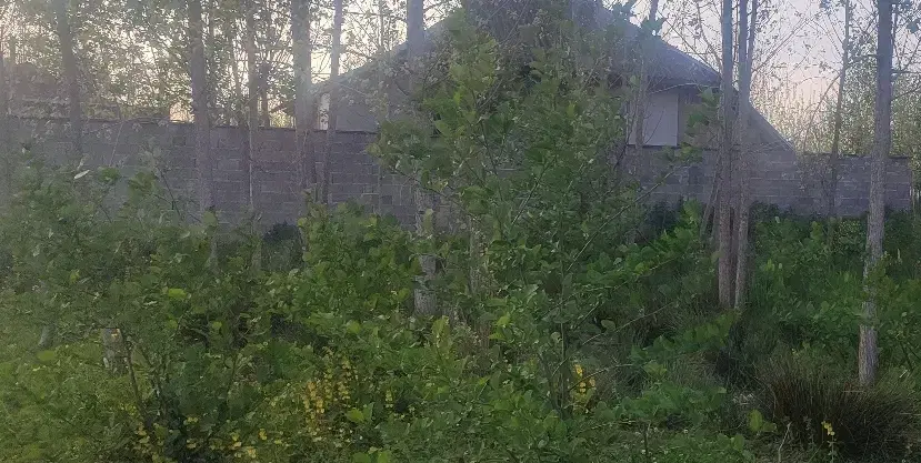 زمین باغی ازگم کوچه ی خدادوست داخل طرح هادی