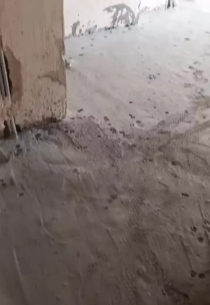 واحد۷۸متری و۸۸متری داخل یک ساختمان تیردوقلو