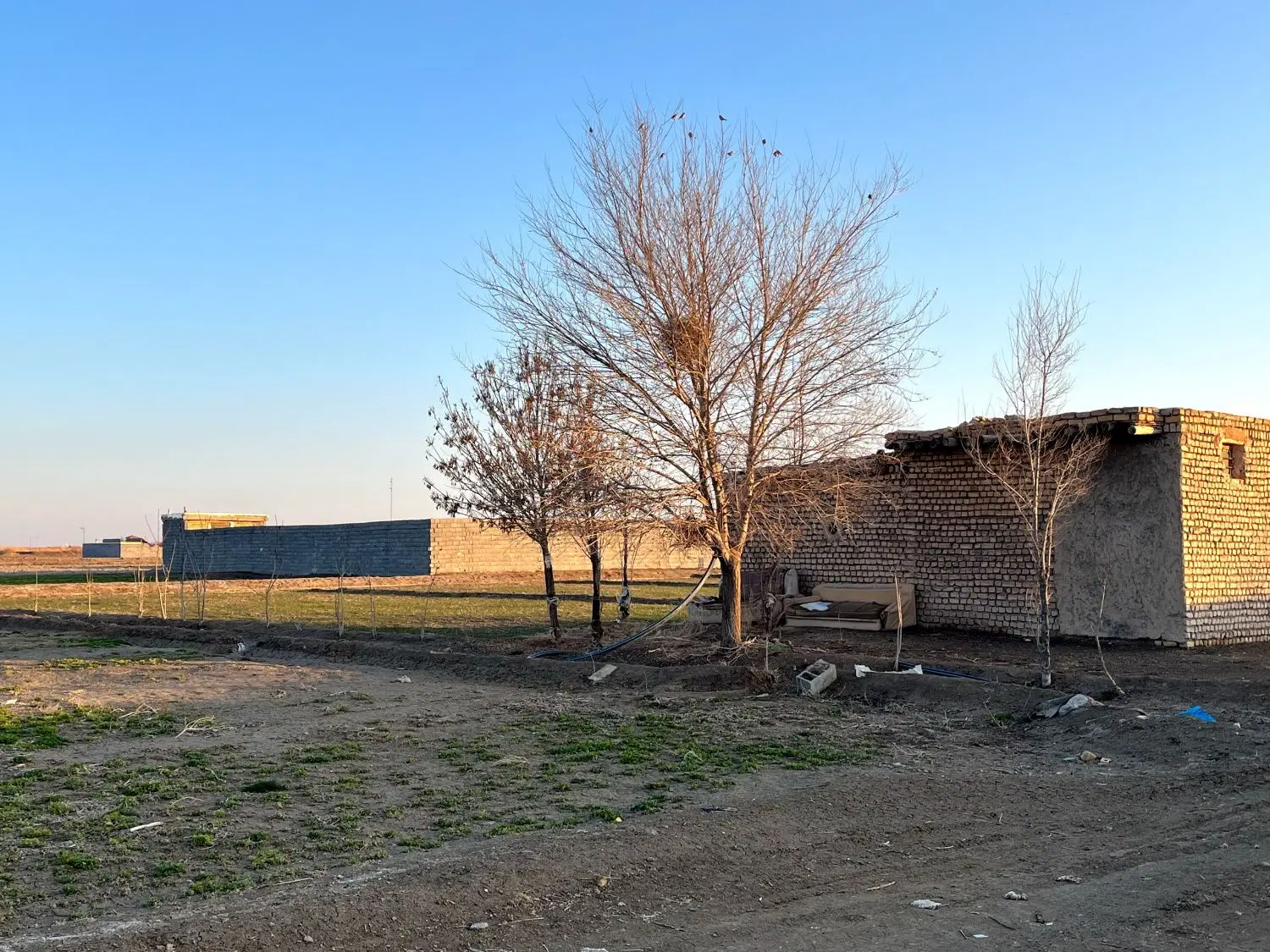 فروش زمین ۱۰۰۰ متری در روستای تیمارت