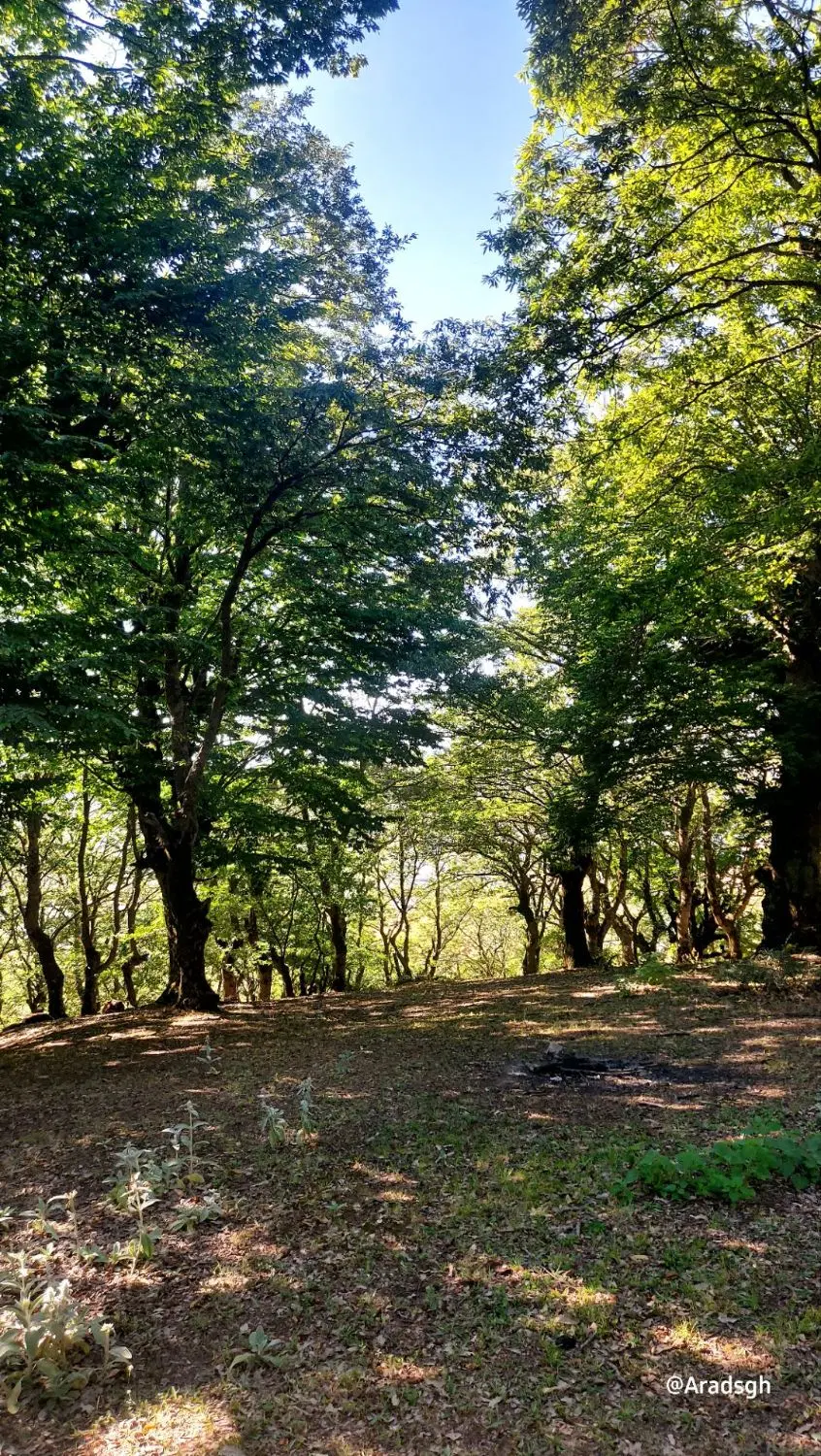 فروش زمین