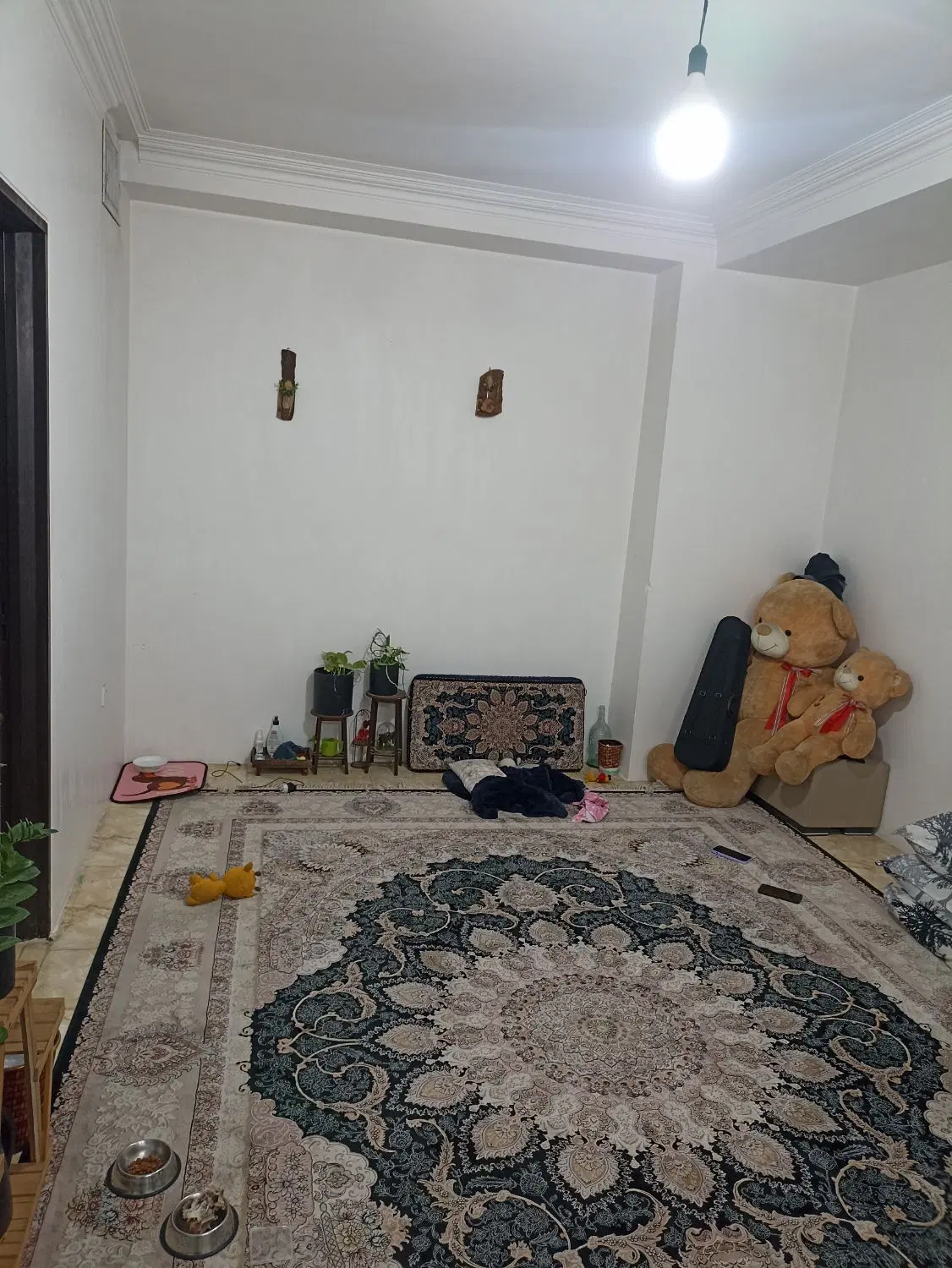واحد 55 متری با پارکینگ در فلاح  شهسوار شمالی