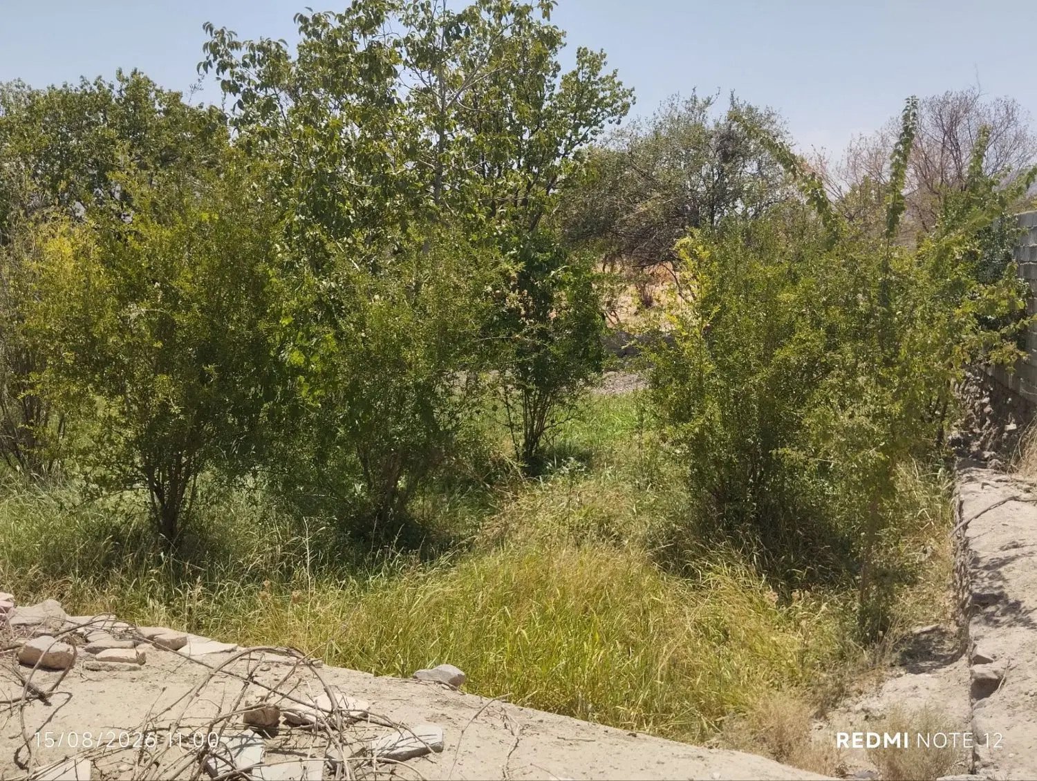 خونه باغ