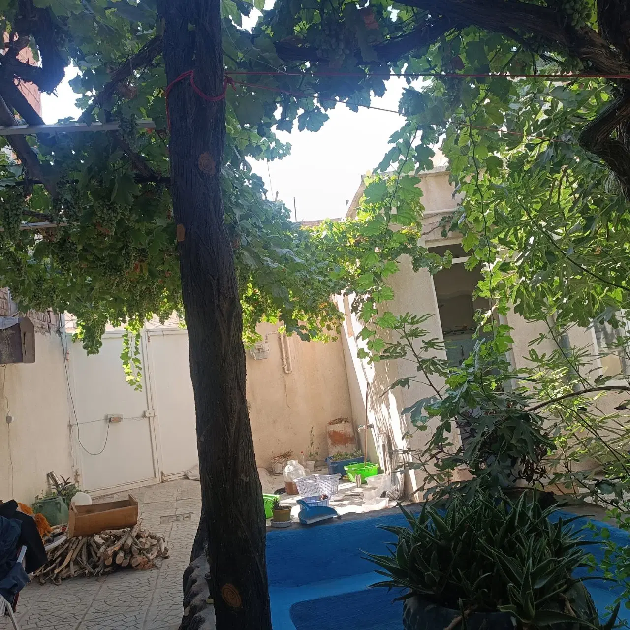 خانه پارک در قلب ارومیه