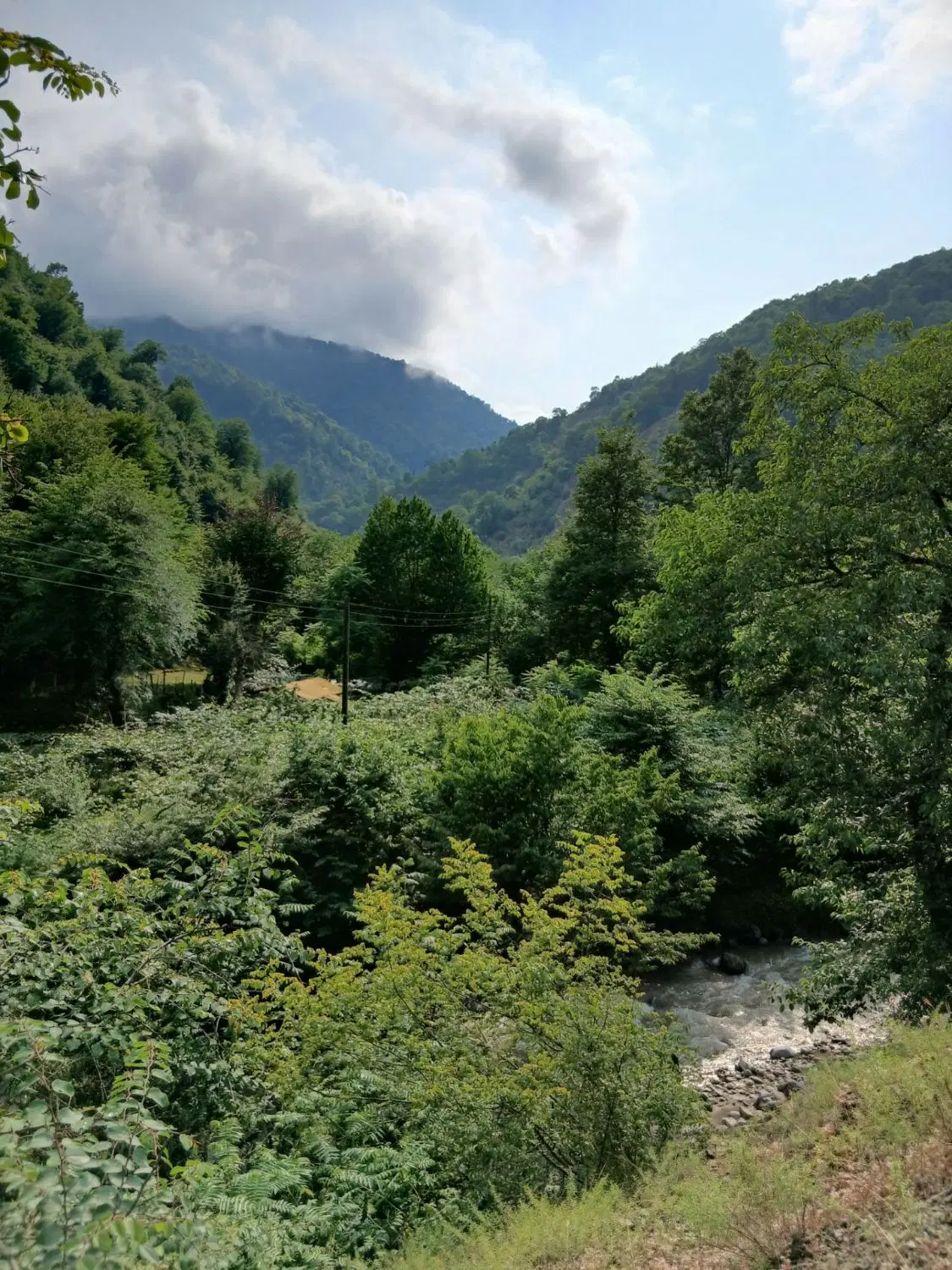 کلبه طبیعت