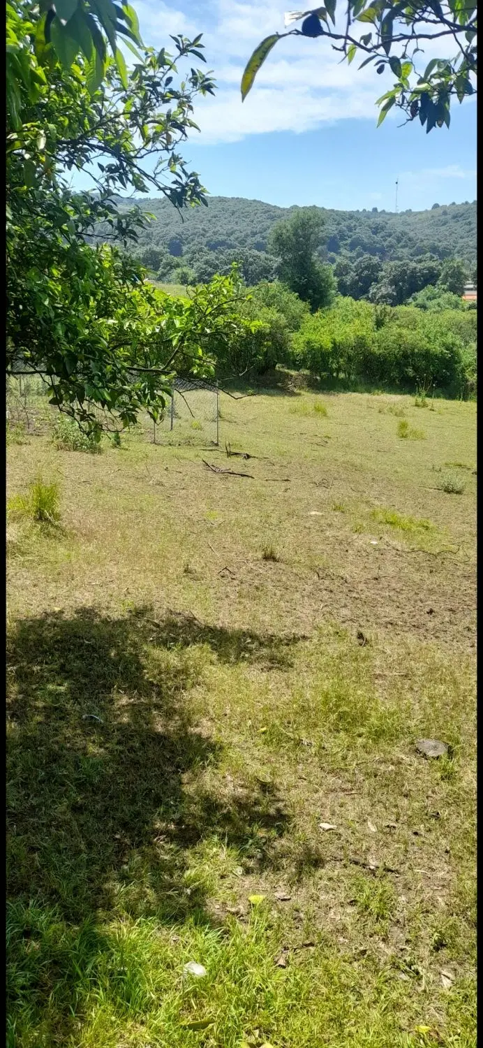 یک پلاک زمین باغچه ای مناسب