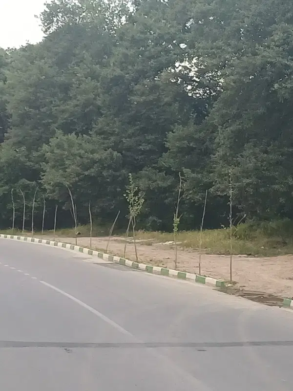 زمین مسکونی.تجاری فروشی
