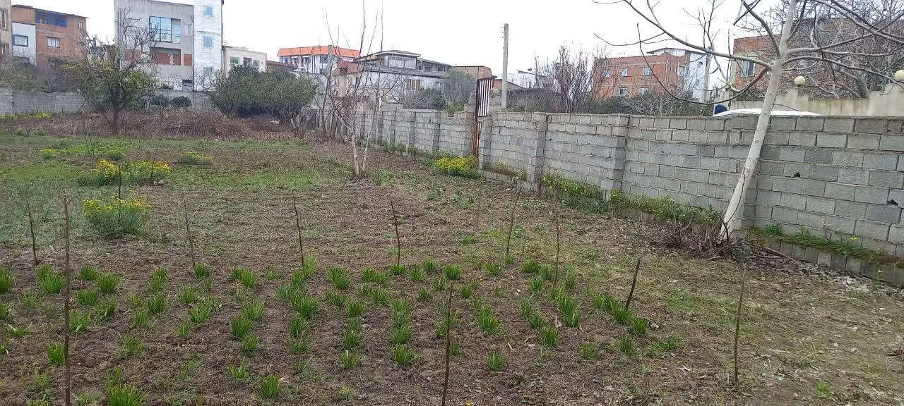 زمین ویلایی