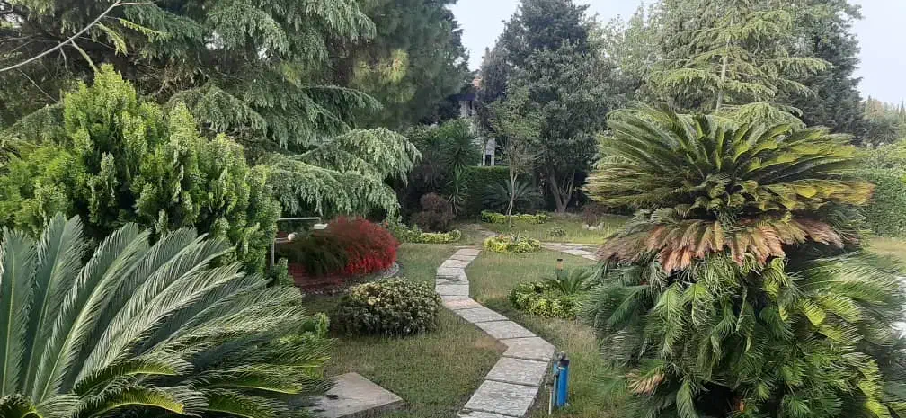 فروش زمین در مولانا