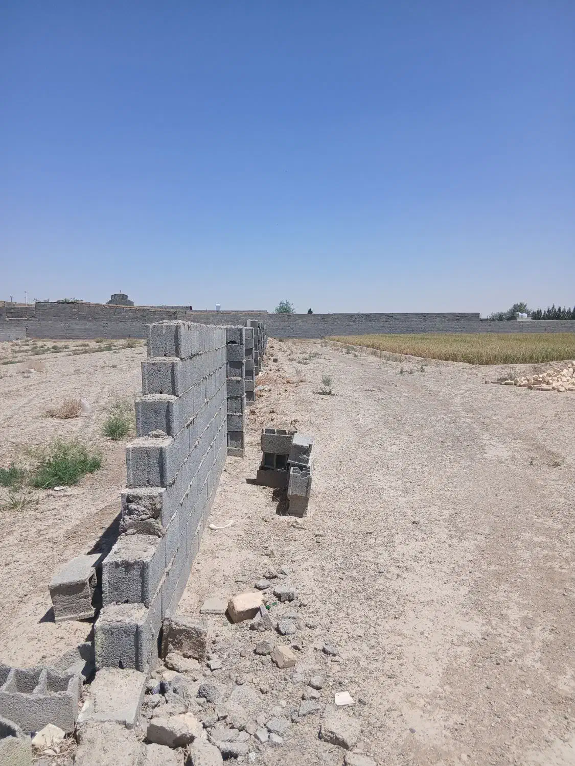 زمین تجاری و باغی