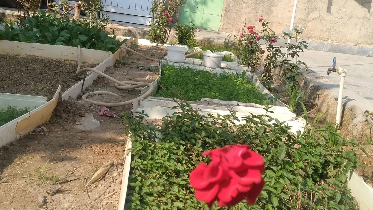 منزل ابادان  طیب 11پلاک 7