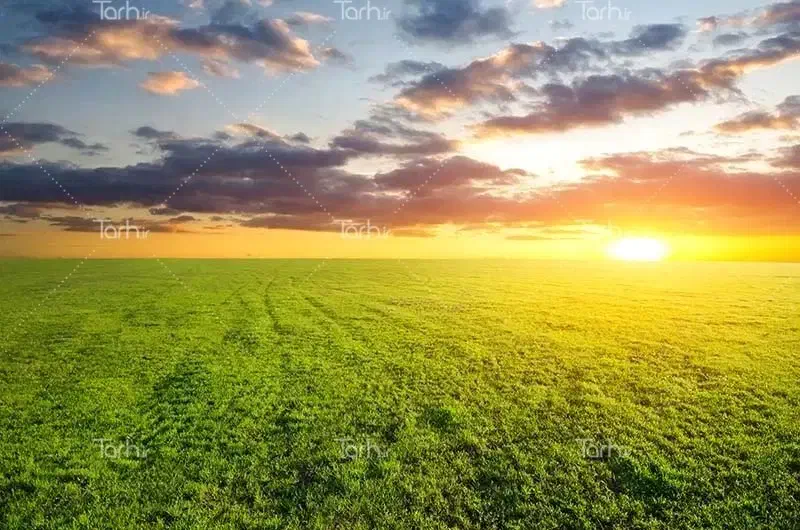نیم هکتار زمین کشاورزی