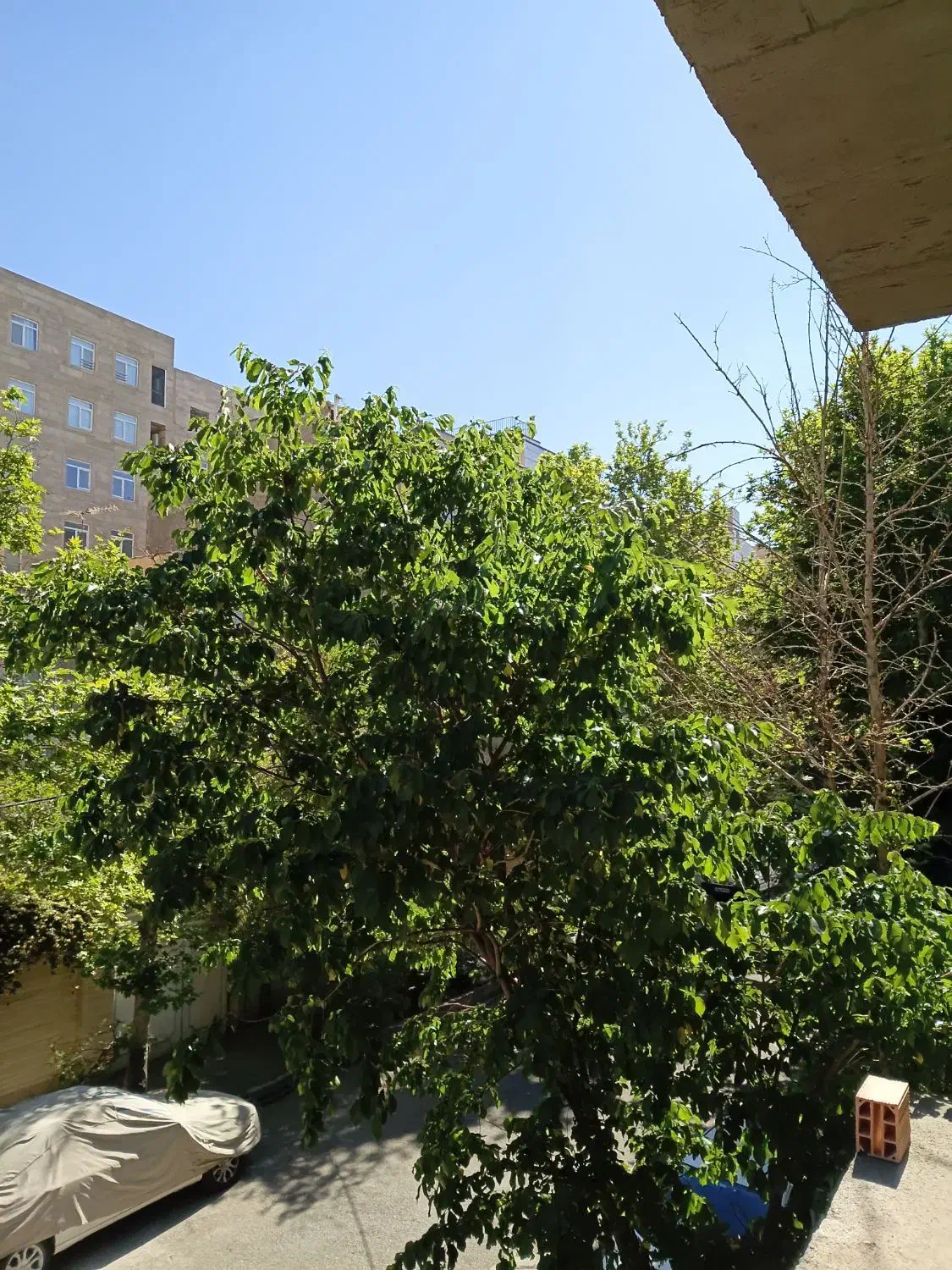 اجاره مغازه سی متری دوم ارتفاع ۶ متر