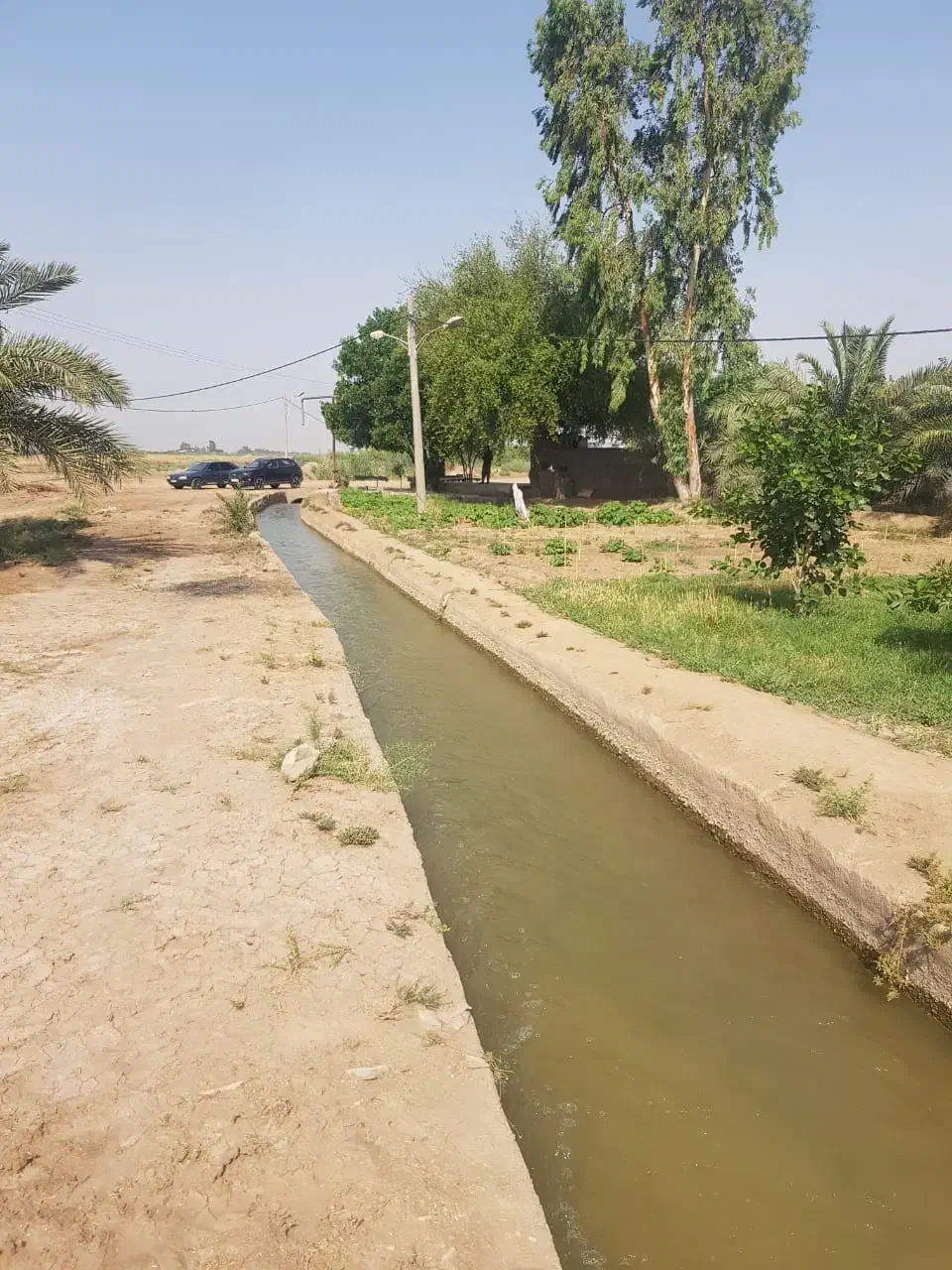 فروش ۴۰هکتار  کشاورزی