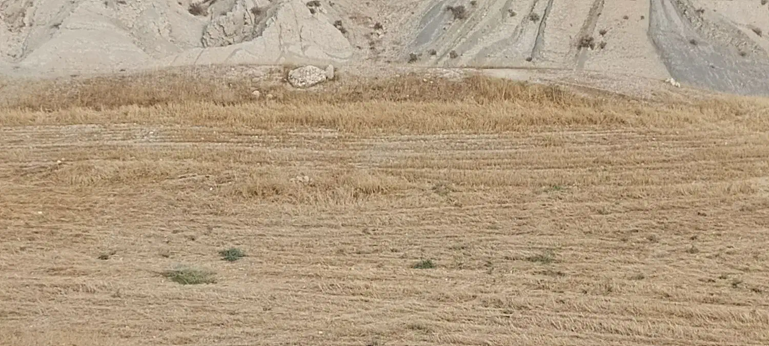 زمین مسکونی