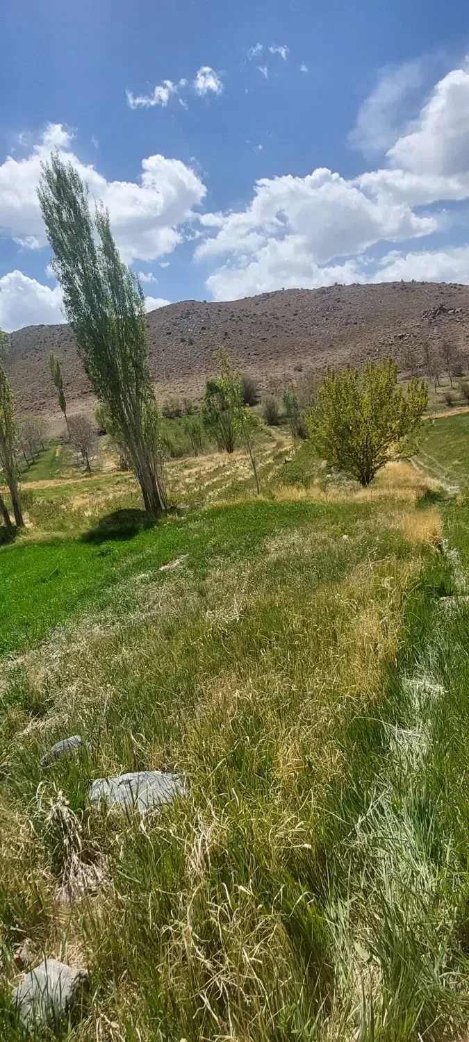فروش ده قصب زمین دوکله دربردسیر
