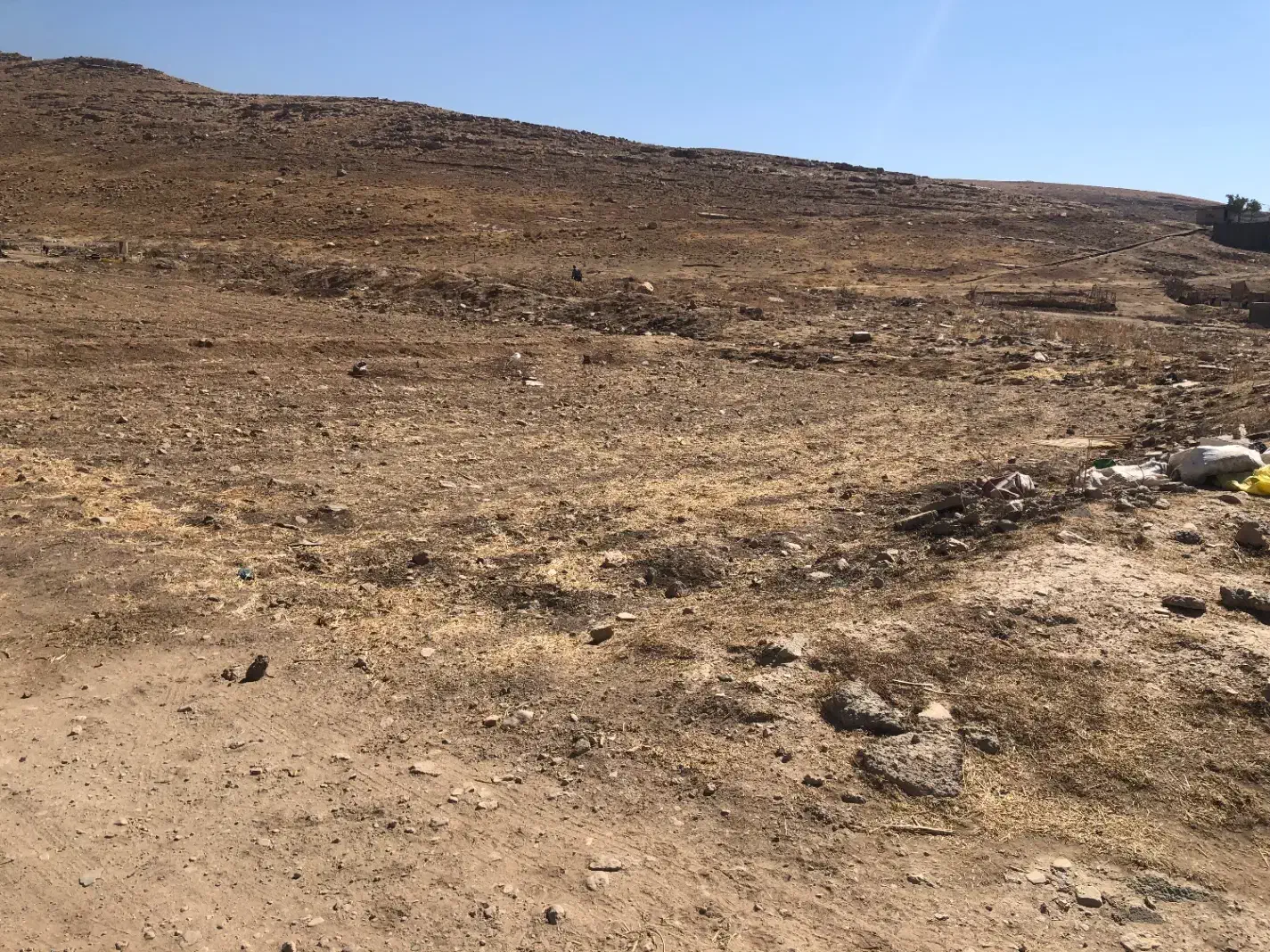 زمین مسکونی