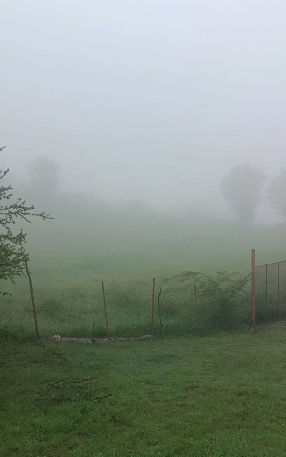 ۲۶۴ متر زمین مناسب سرمایه گذاری