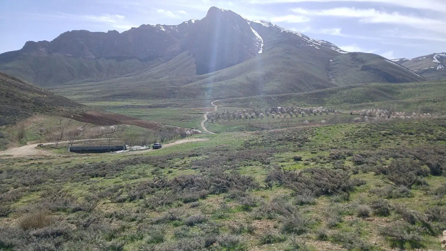 مزرعه زمین باغی وکشاورزی فریدونشهر
