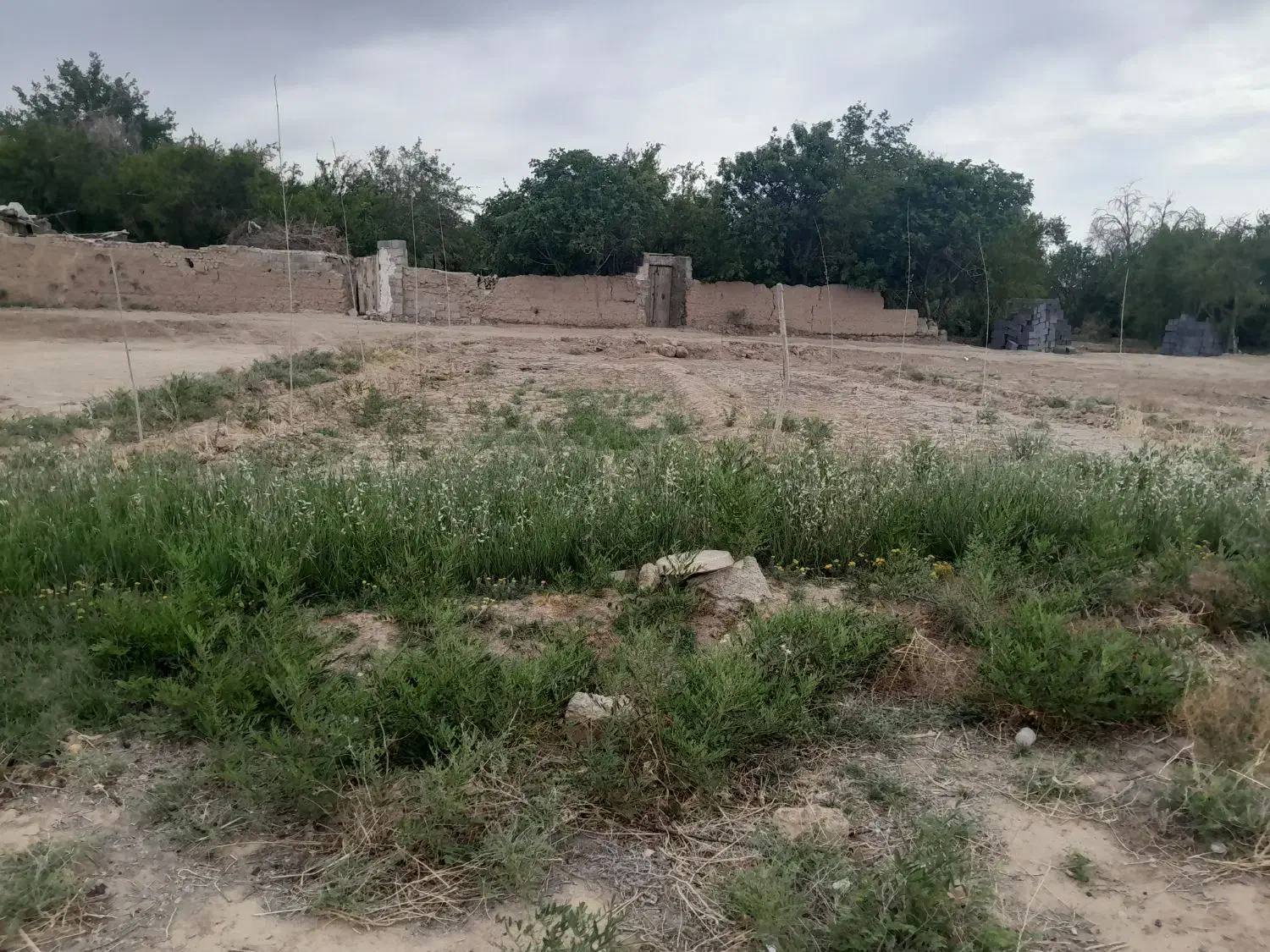 زمین مزروعی نقلی قیمت مناسب