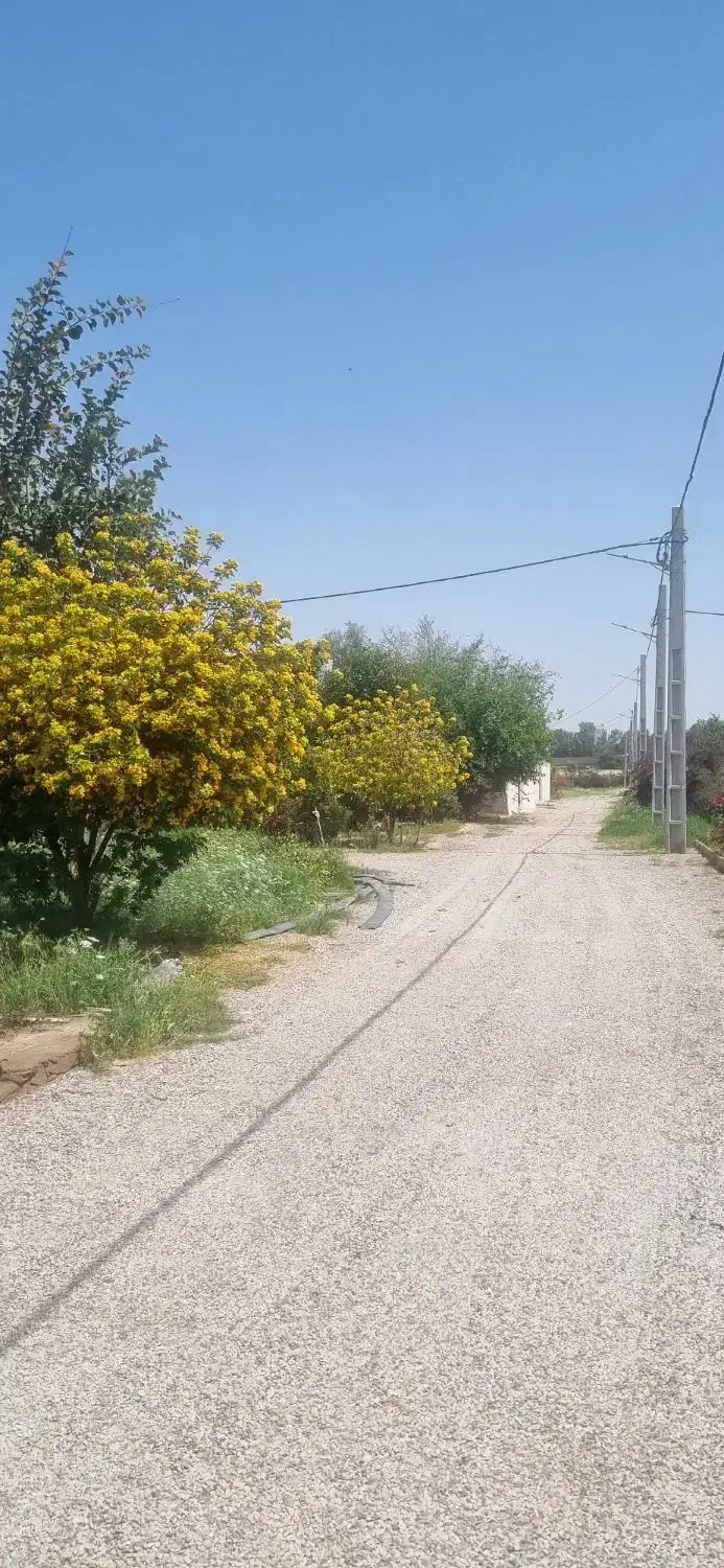 زمین باغ ویلا شوشتر با درختان چندساله