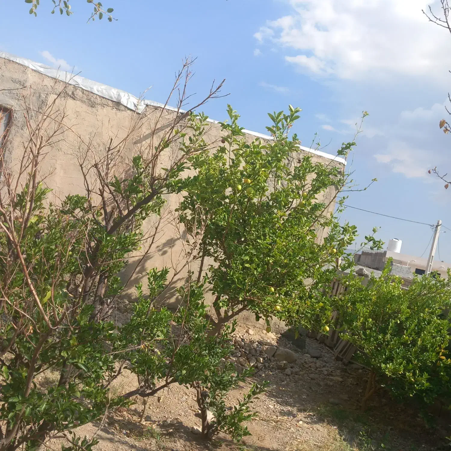 فروش خانه در روستای درگز سیاهو