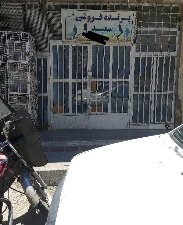 تجاری تکبرگ ششدانگ امتیاز کامل موقعیت عالی