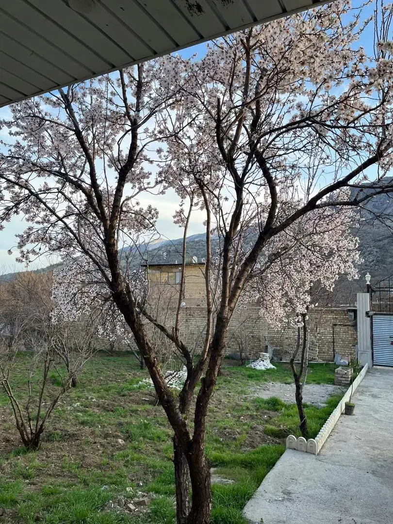 915 متر ویلا باغدایی